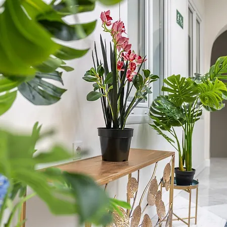 Casa Palacio Rufina & Jardines Apartment *